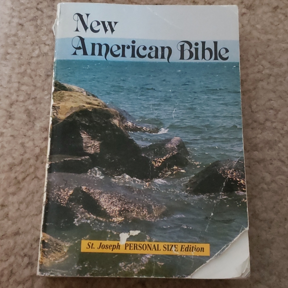 New American Bible (Read the 2nd picture please)